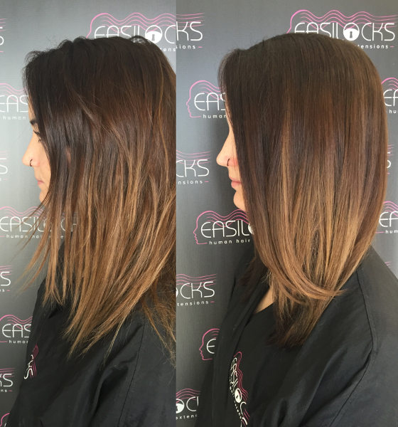 Easilocks Hair Extensions